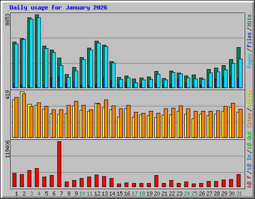 Daily usage for January 2026