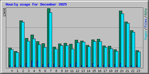 Hourly usage for December 2025