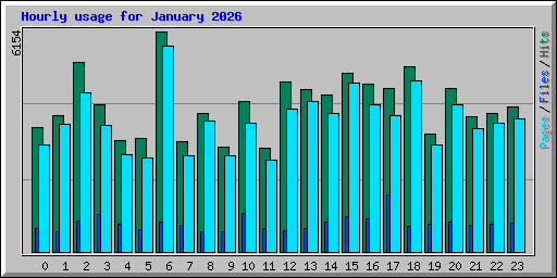 Hourly usage for January 2026